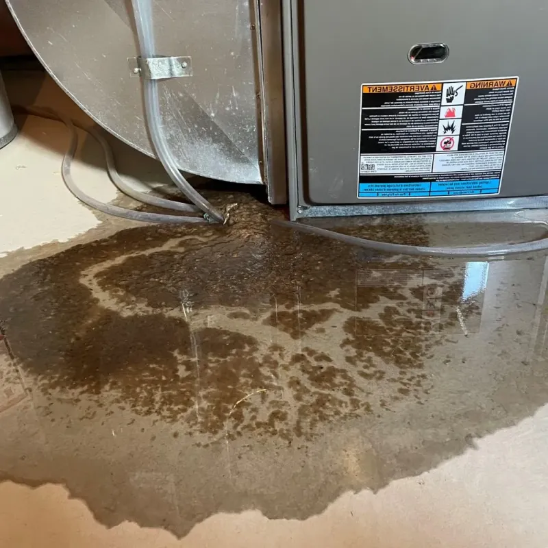 Pipe Burst and Leak Restoration in Belle Plaine, IA