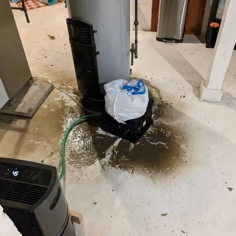 Sewage Backup Cleanup Service in Belle Plaine, IA